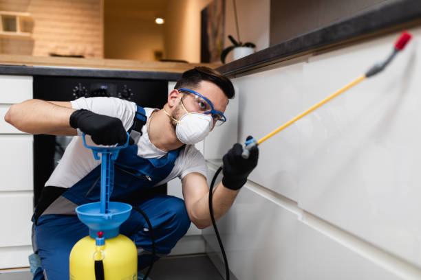 Best Flea Control Services  in Elmwood, LA