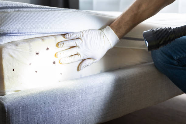 Pest Prevention Services in Elmwood, LA